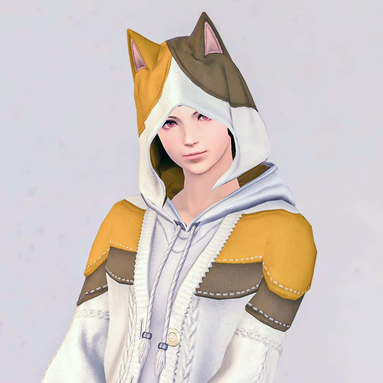 【完売品】FF14 ファットキャットパーカー FF14おしゃれ課金装備】ファットキャットパーカー - PSゲームSS日記